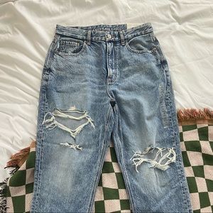 American Eagle Curvy Mom Jeans